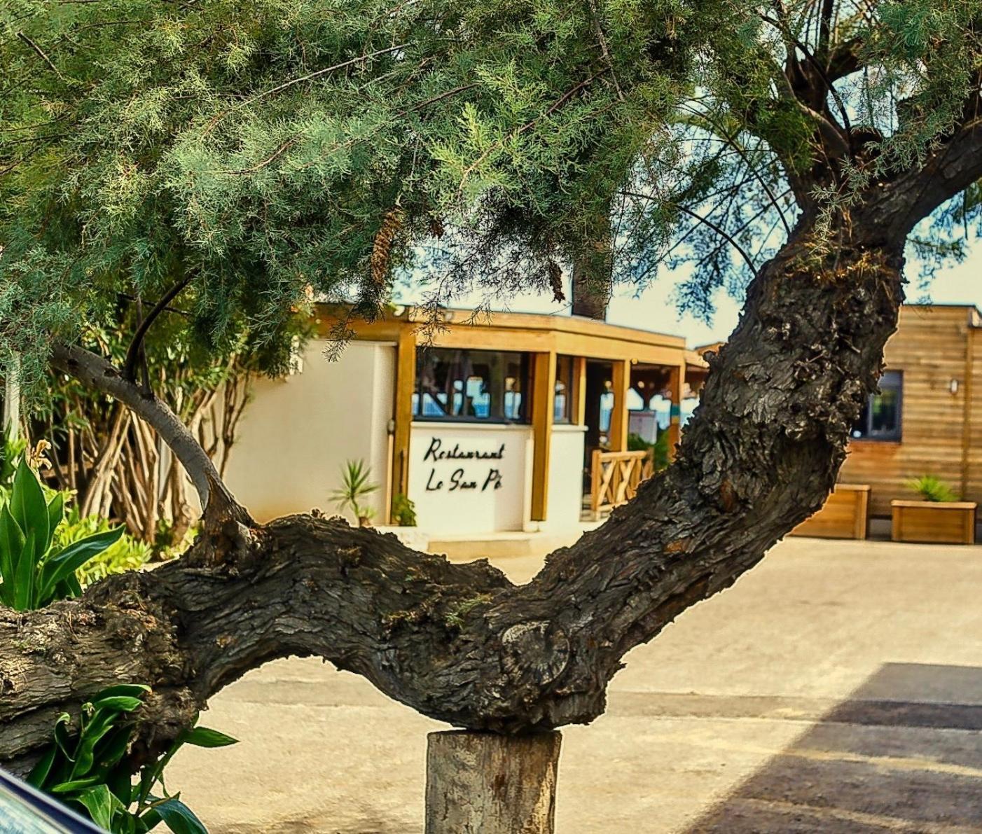 Hotel & Restaurant San Pellegrino Folelli ภายนอก รูปภาพ